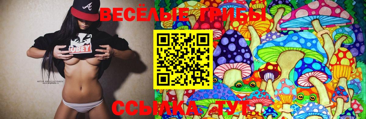 Галлюциногенные грибы MAGIC MUSHROOMS Ржев